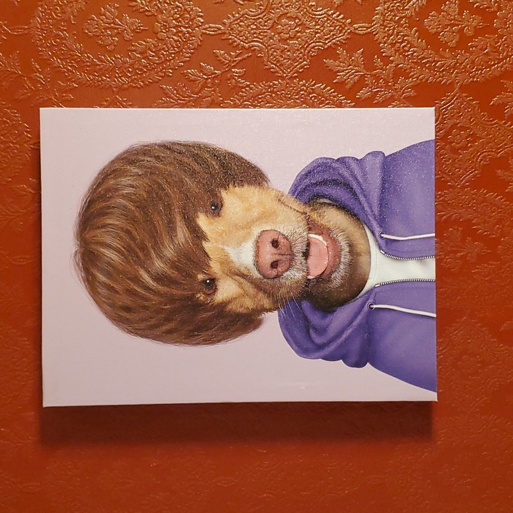 Pets Rock Justin Beiber painting